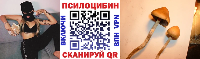 кракен tor Суровикино Галлюциногенные грибы MAGIC MUSHROOMS